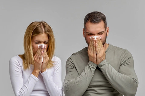 суық мезгіл