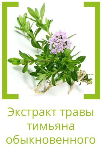 Тимьян