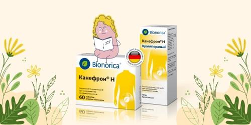 Что лучше цистон или канефрон при пиелонефрите. Что лучше цистон или канефрон при пиелонефрите