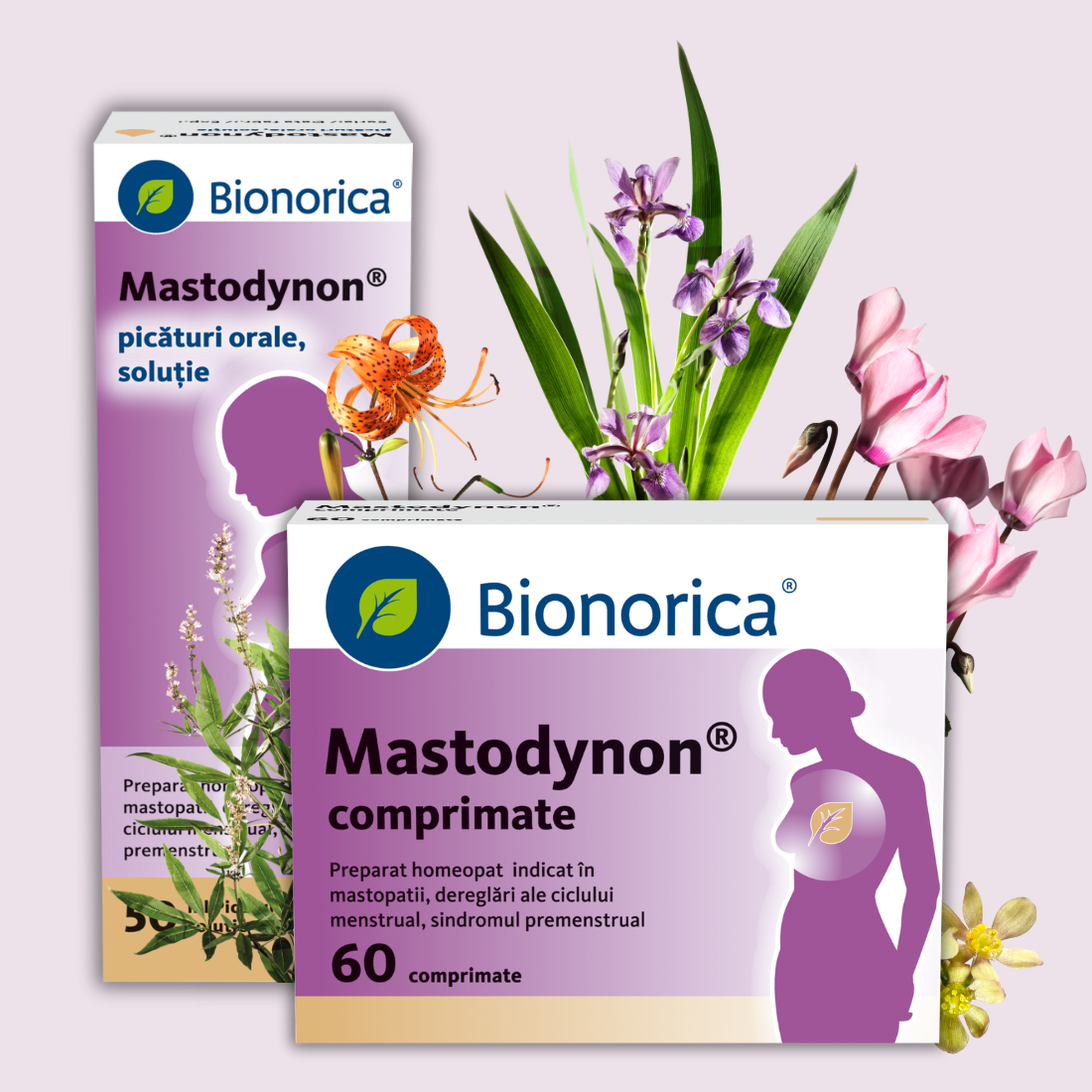 MAS packshot