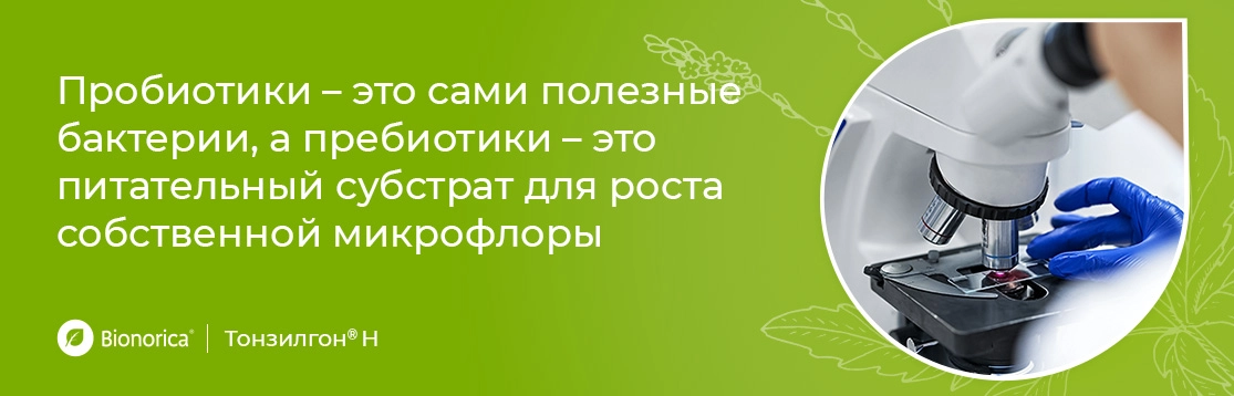 Как восстановить свой микробиом после приема антибиотиков?