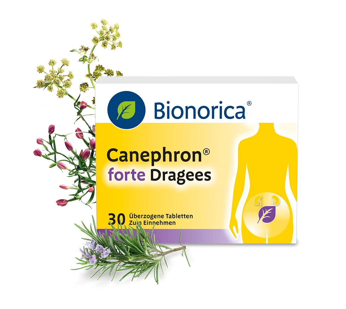 Packshot Canephron® forte mit Pflanzen