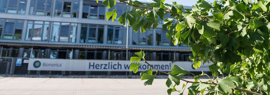 Blick auf eines der Bürogebäude bei Bionorica in Neumarkt und einen prächtigen, grünen Gingko-Baum