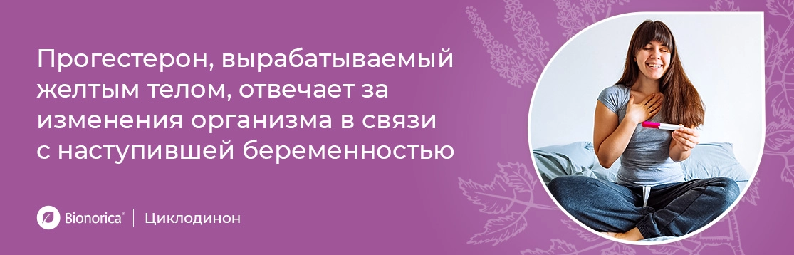 Функции прогестерона, вырабатываемого желтым телом при беременности