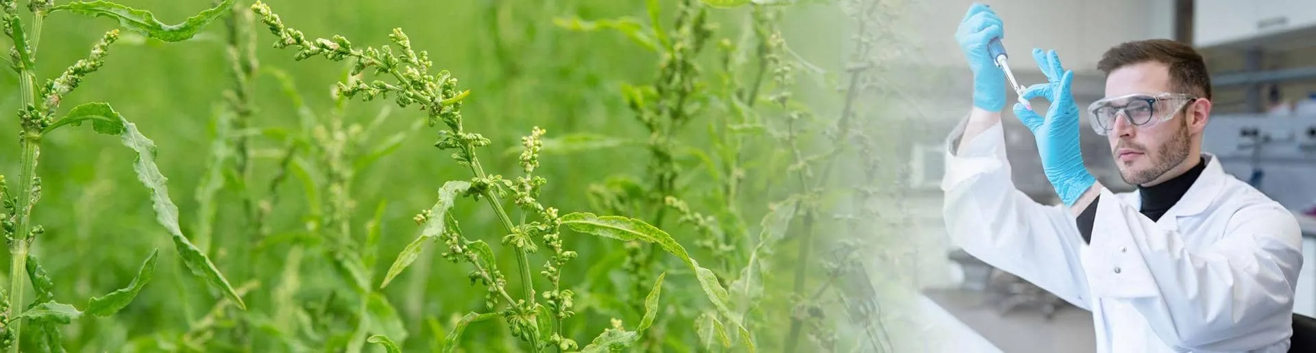 Privește natura dintr-un unghi diferit