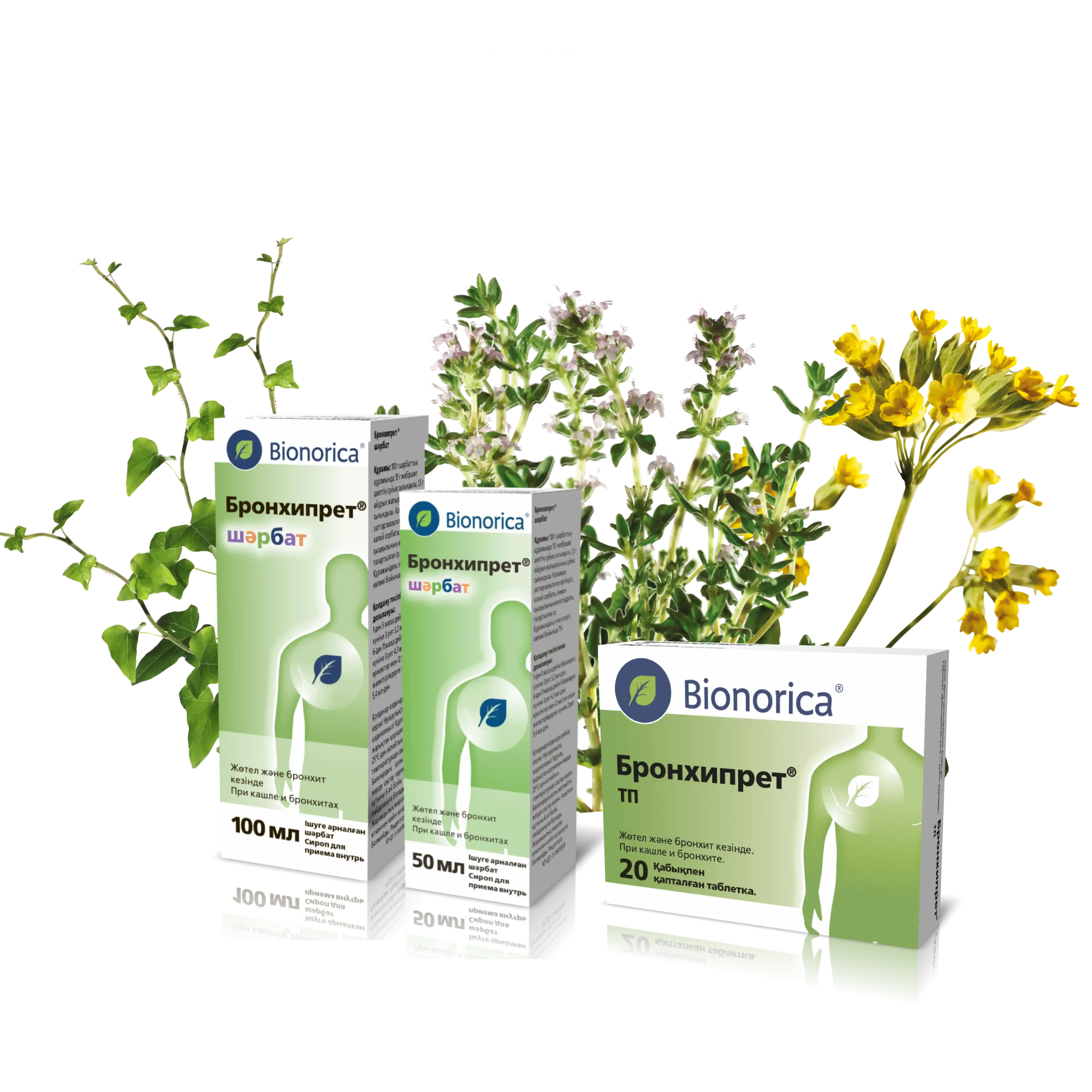 Бронхипрет фитониринг