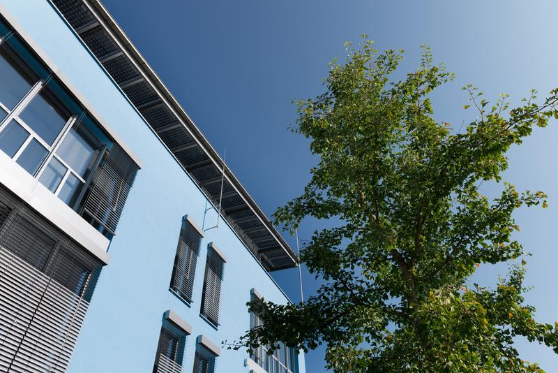 Blaues Haus mit Gingkobaum