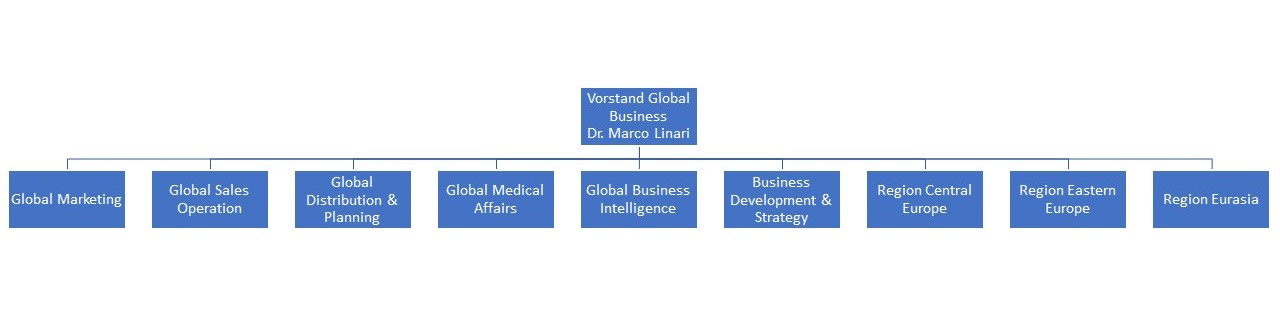 Organisationsstruktur Vorstand Global Marketing
