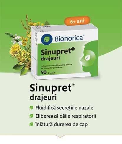 Sinupret drajeuri