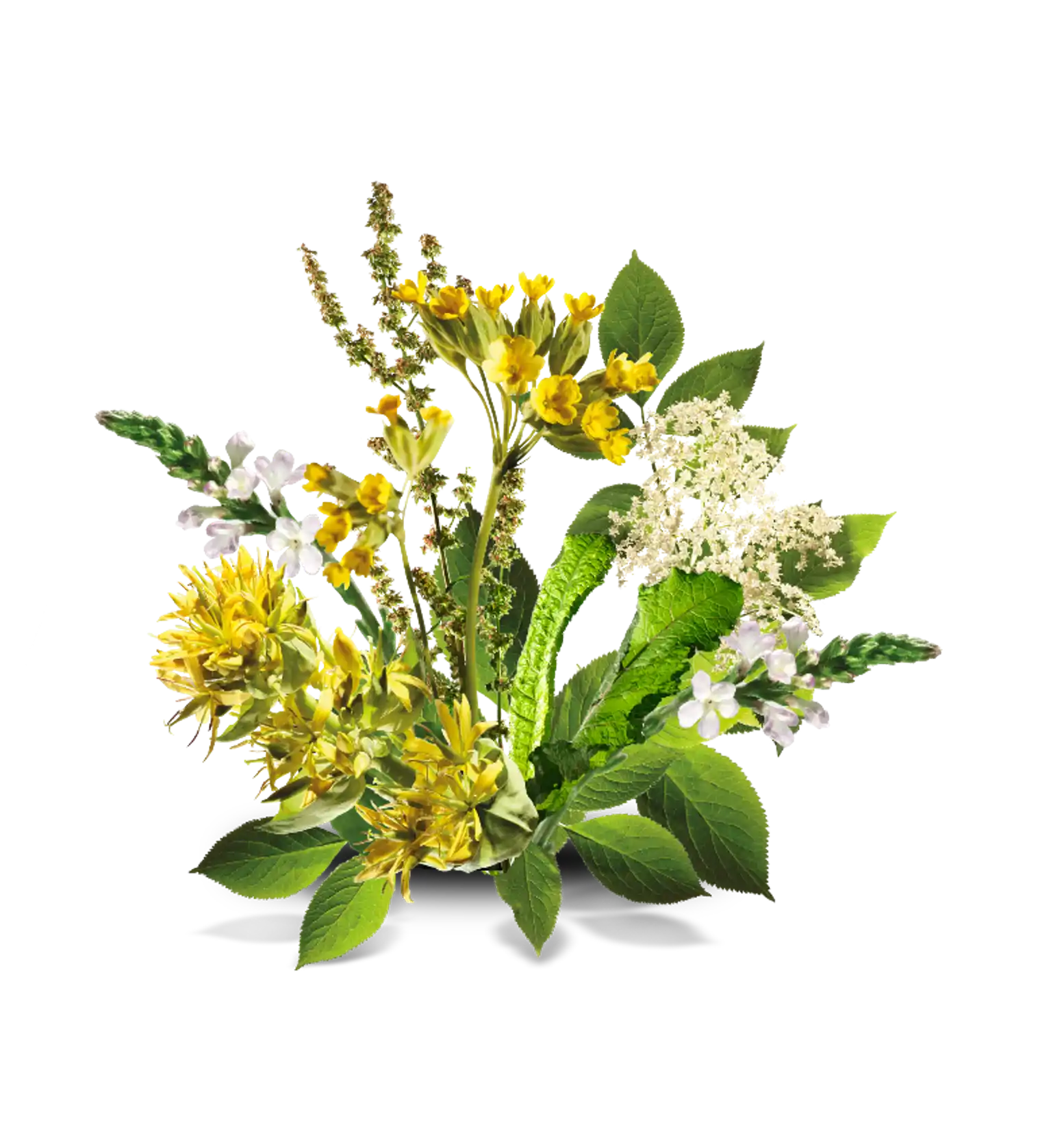 Состав - все травы Синупрета