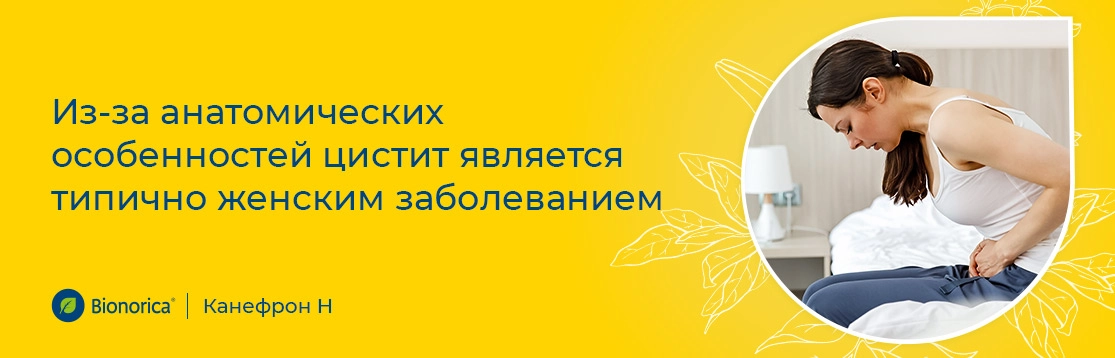 что такое цистит