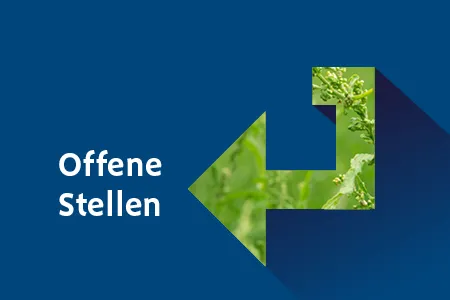 offene steleln