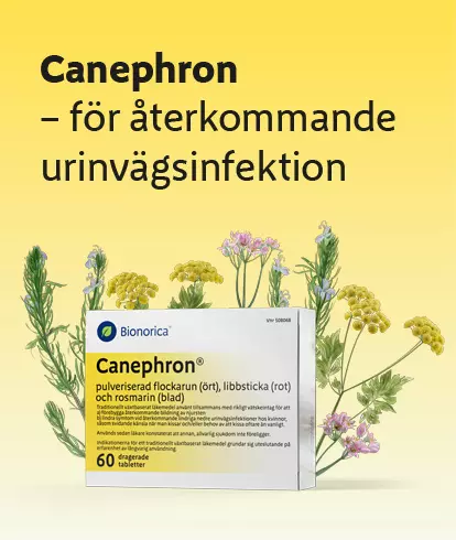 Canephron - för återkommande urinvägsinfektion