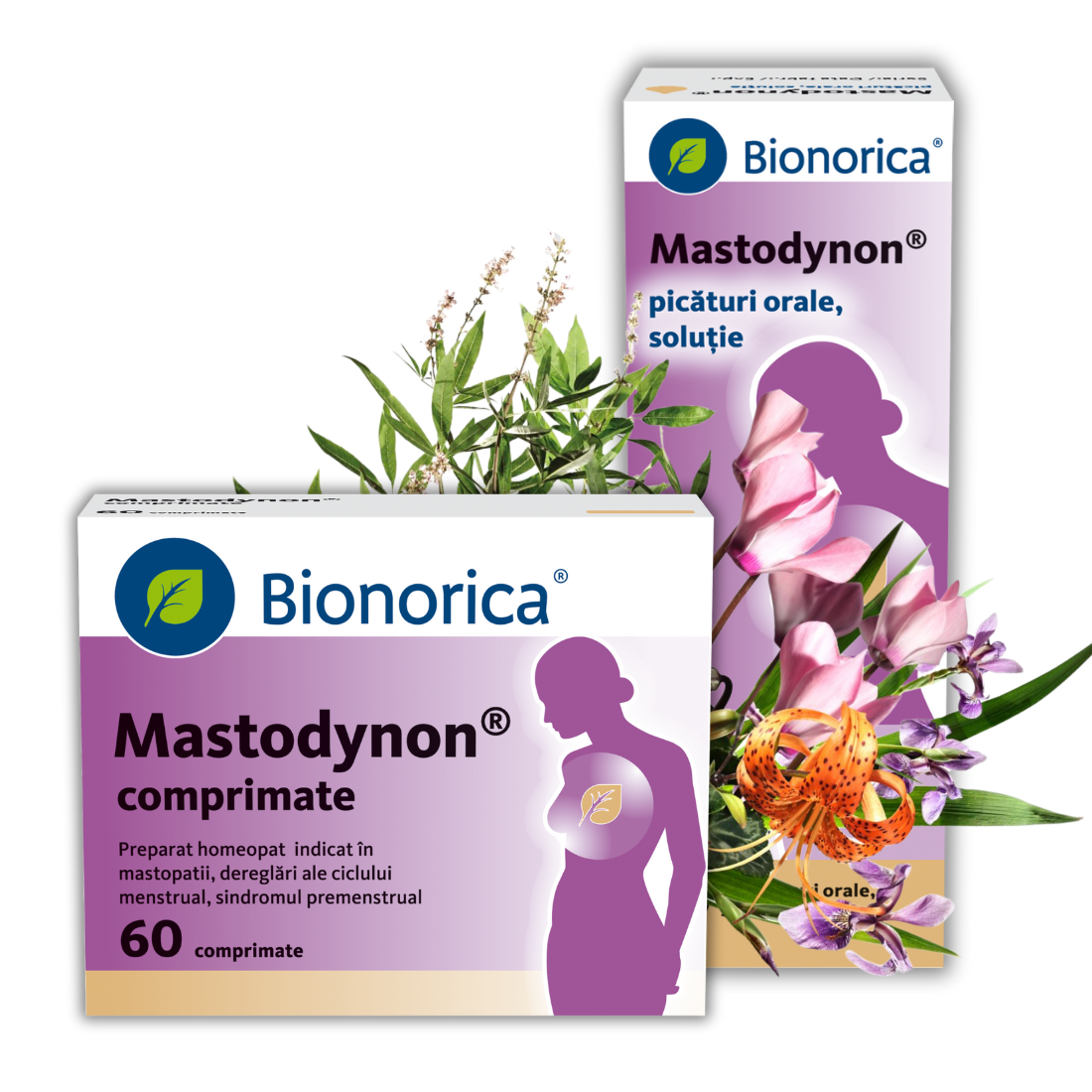 Mastodynon®