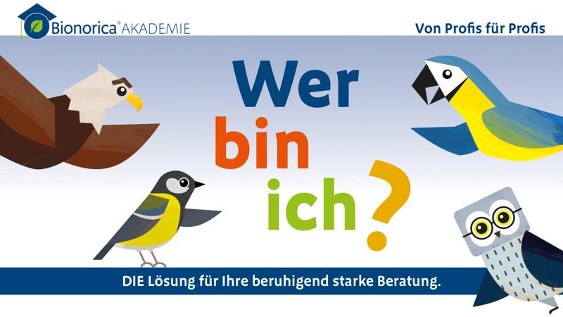 BNO AT: Spring campaign card 1 image