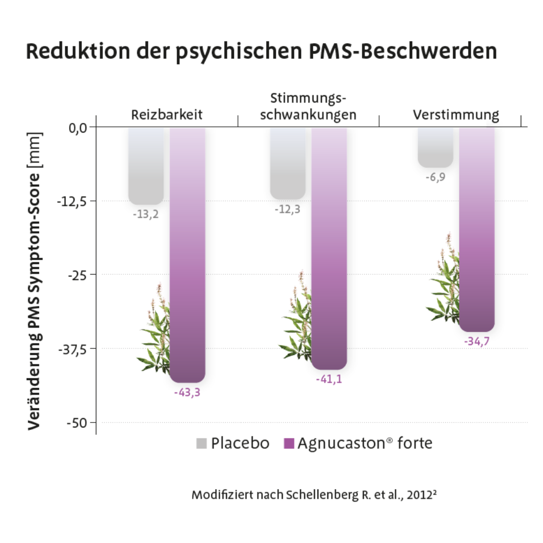 Reduktion PMS Beschwerden