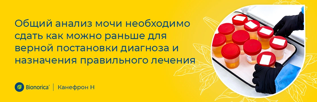 На какой день нужно сдавать анализы при пиелонефрите?