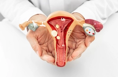 Boli ale aparatului sistemului reproductiv
