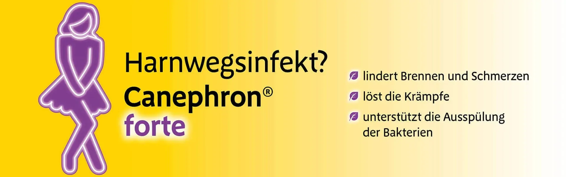 Canephron Header