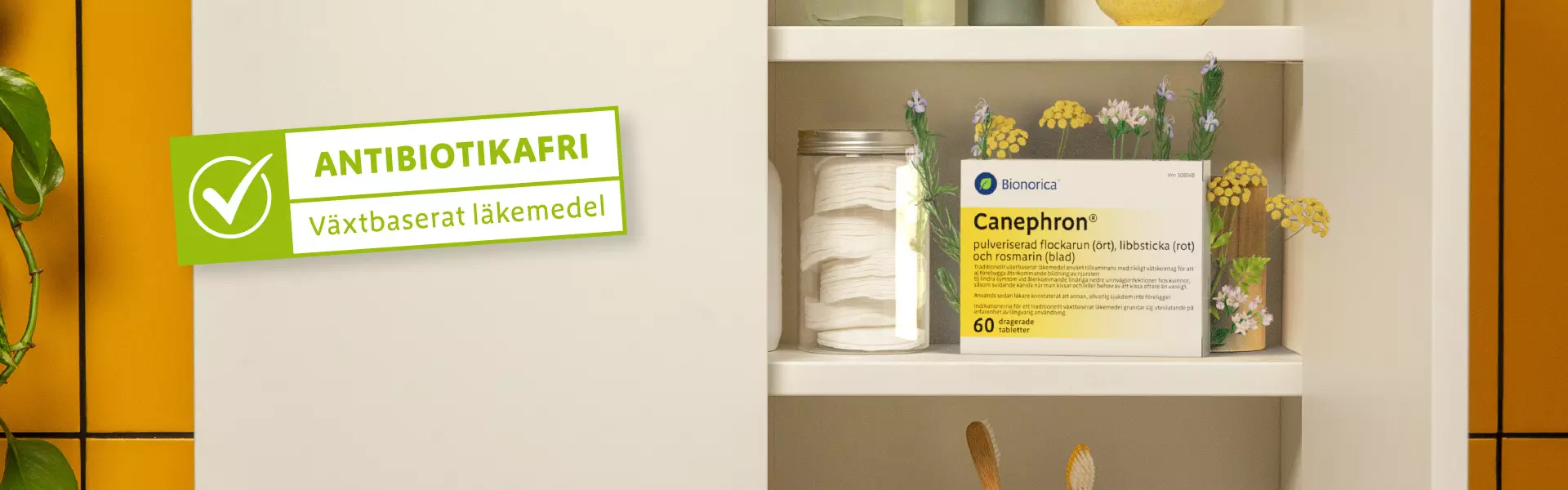 Canephron_solution_cabinet