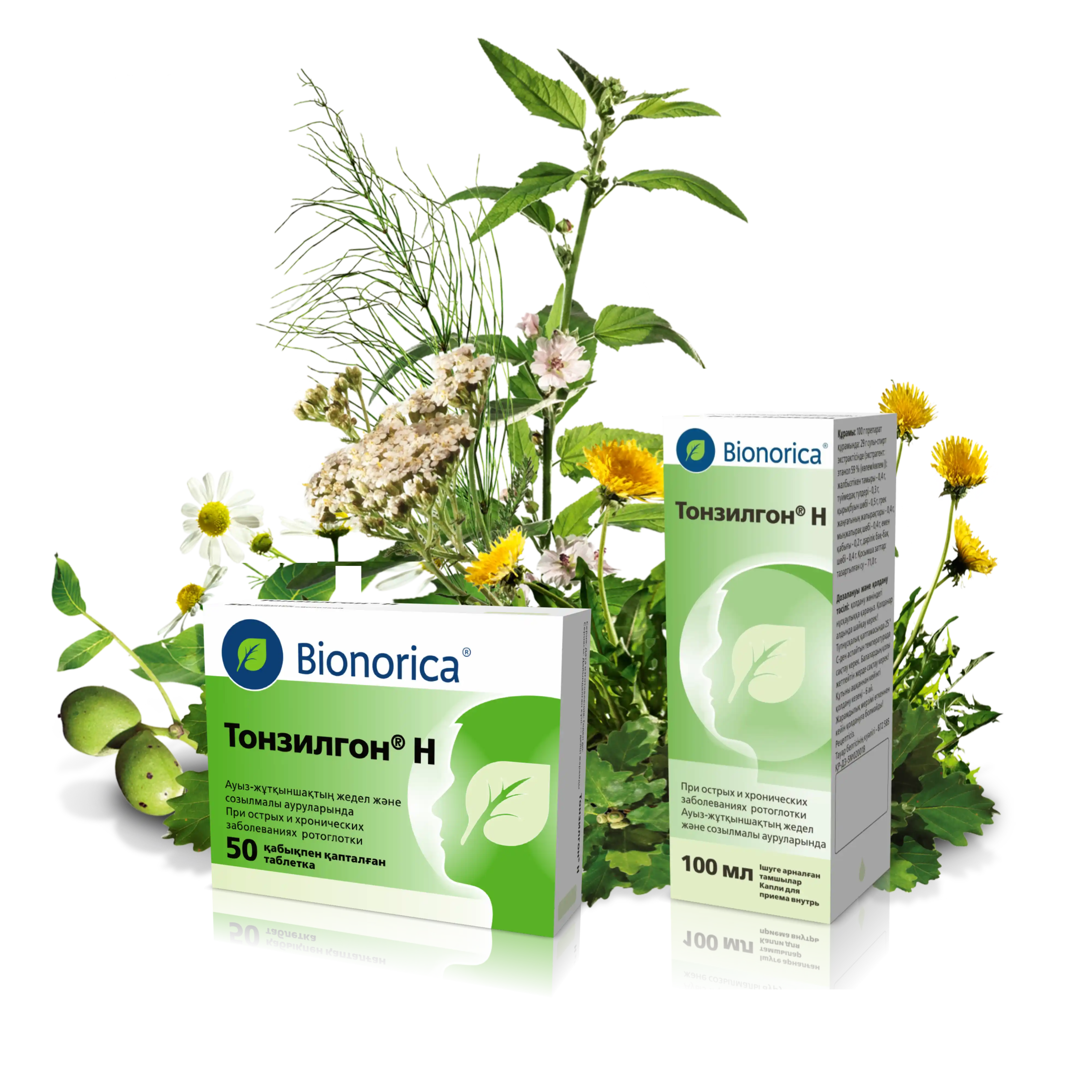 Тонзилгон фитониринг