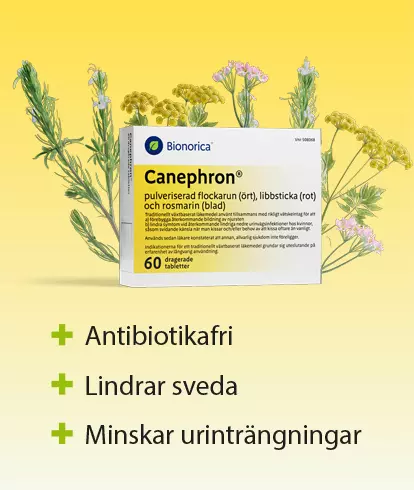 om-Canephron