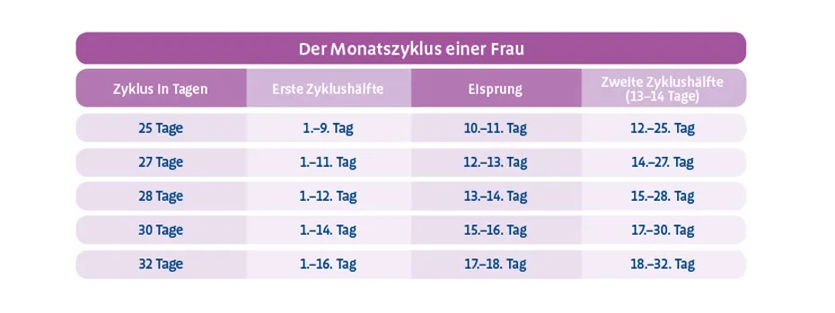Montaszyklus