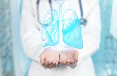 Анатомия и физиология нижних дыхательных путей 