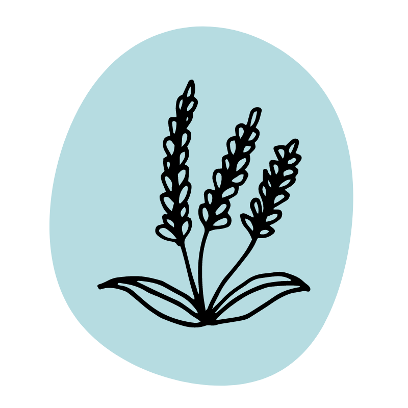 Icon: Pflanze Blau