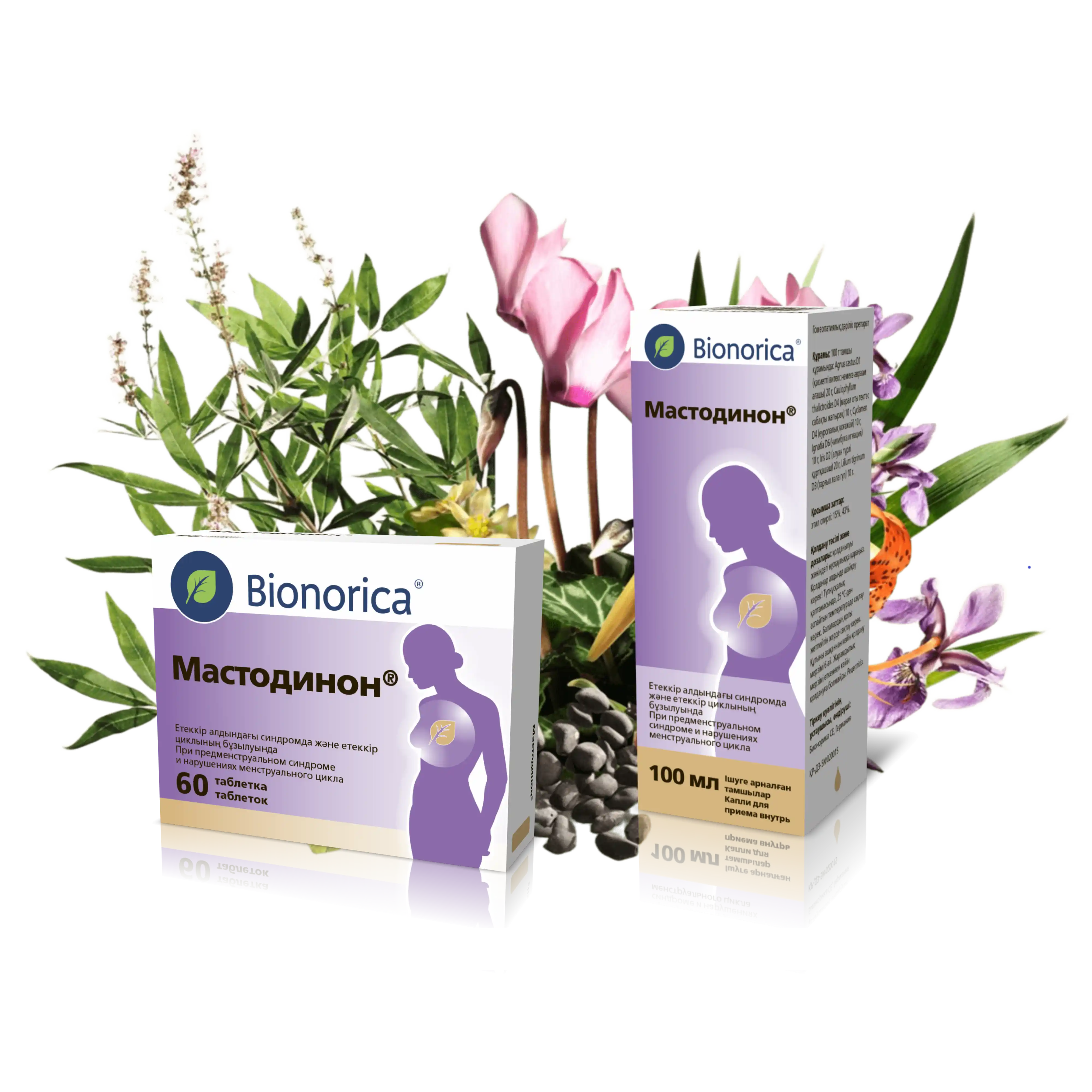 Мастодинон фитониринг